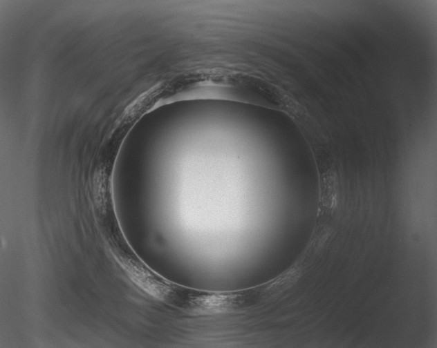 X0000085830184200703161334