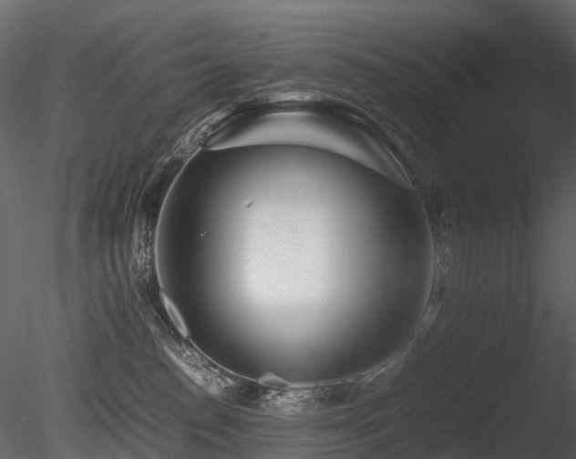 X0000085830186200703161334