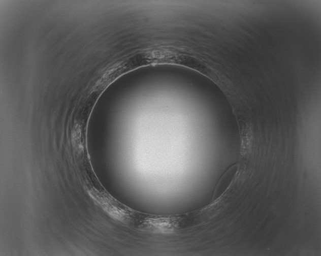 X0000085830187200703161334