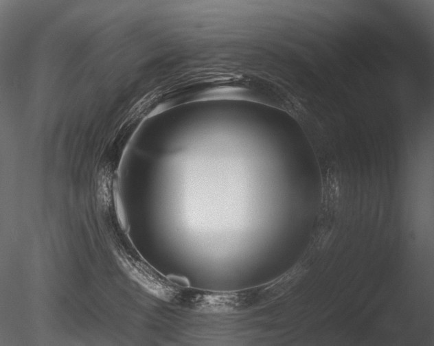 X0000085830188200703161334