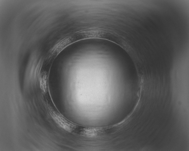 X0000085830190200703161334
