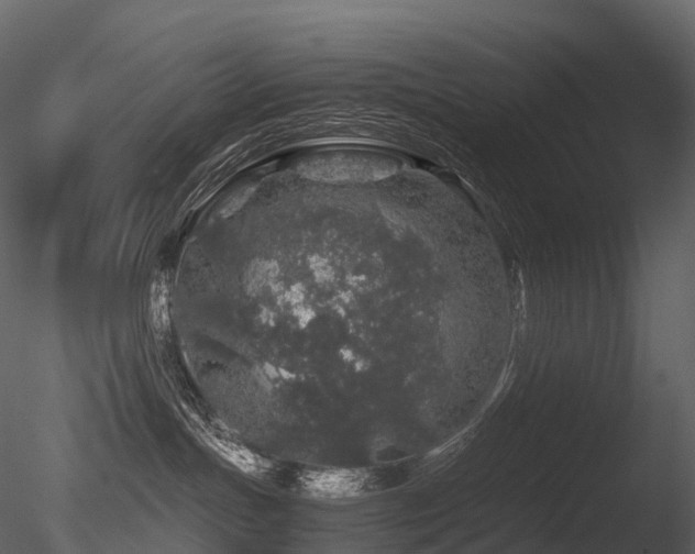 X0000085830191200703161334