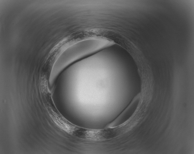 X0000085830192200703161334