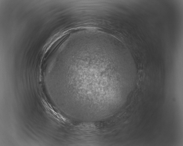 X0000085830194200703161333