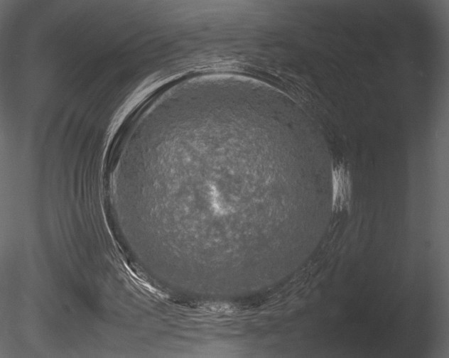 X0000085830195200703161333