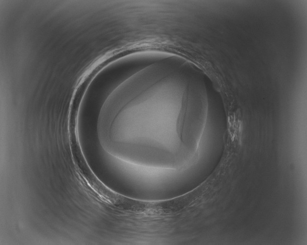 X0000085830196200703161333
