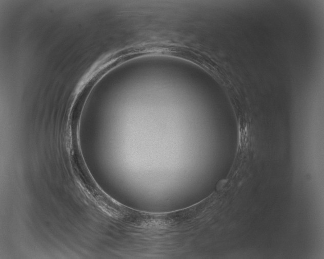 X0000085830198200703161333