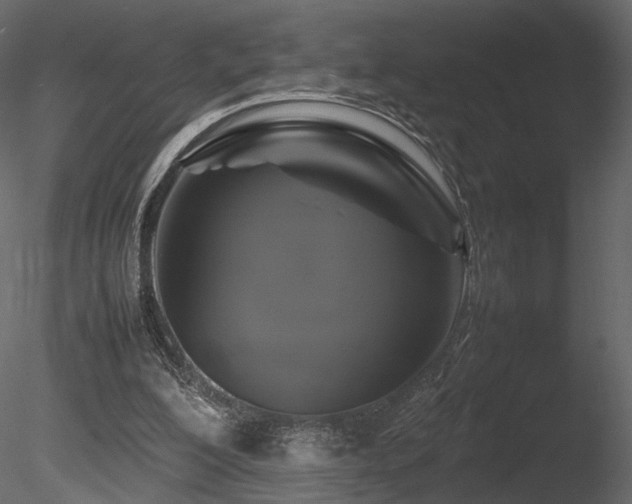 X0000085830200200703161333