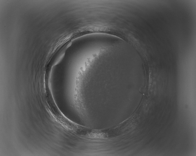 X0000085830202200703161333