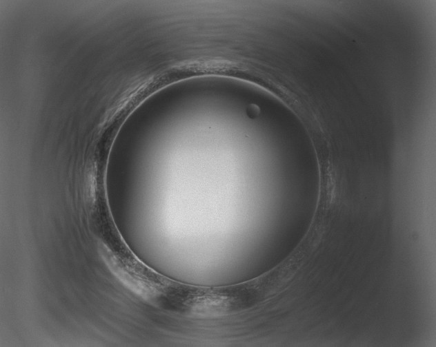 X0000085830206200703161333