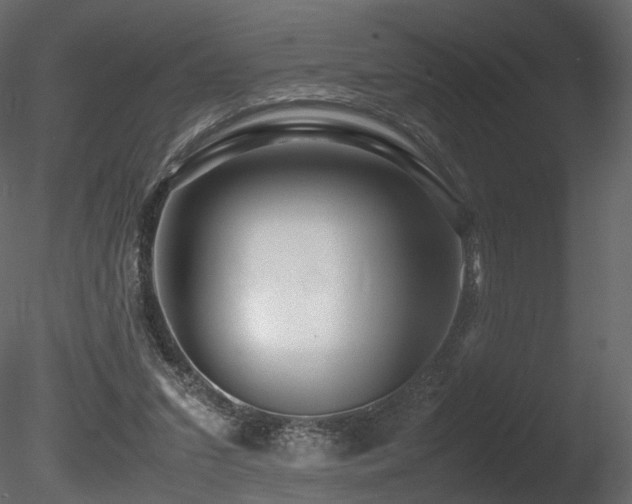 X0000085830207200703161333