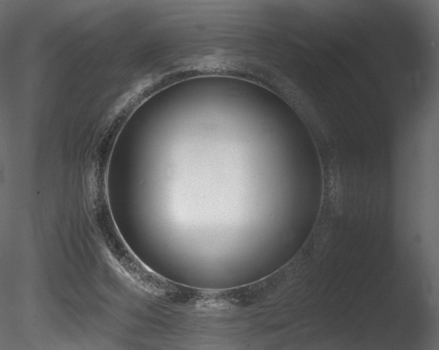 X0000085830208200703161333