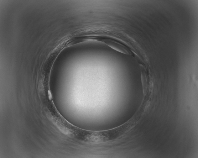 X0000085830209200703161333