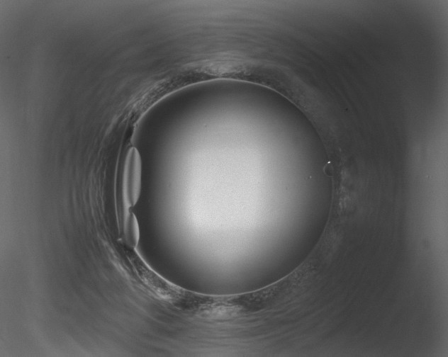 X0000085830210200703161333