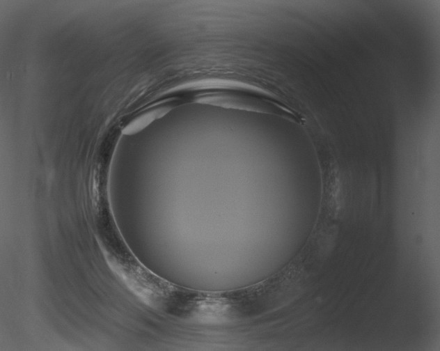 X0000085830214200703161332