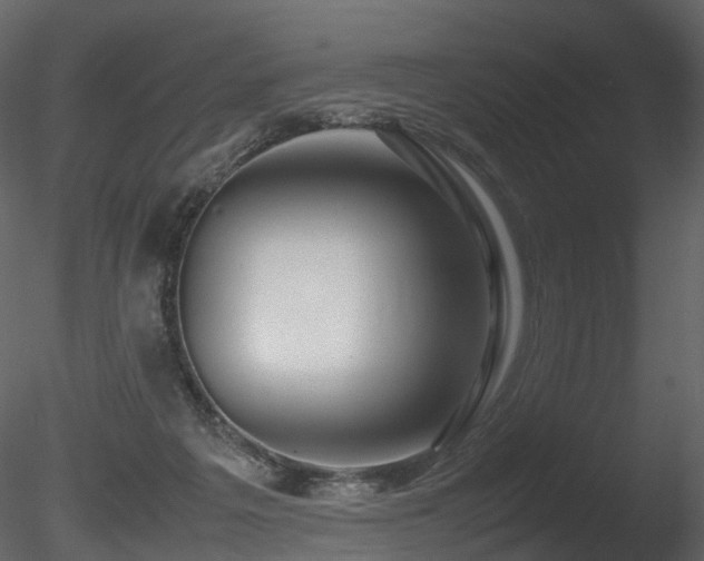 X0000085830217200703161332