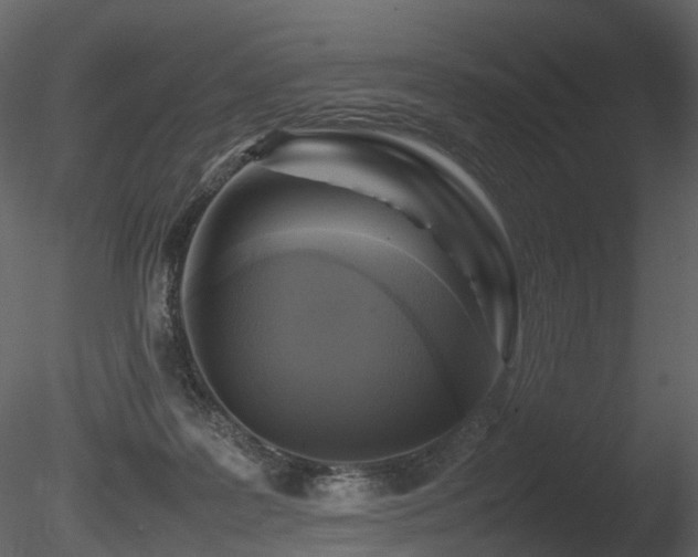 X0000085830219200703161332