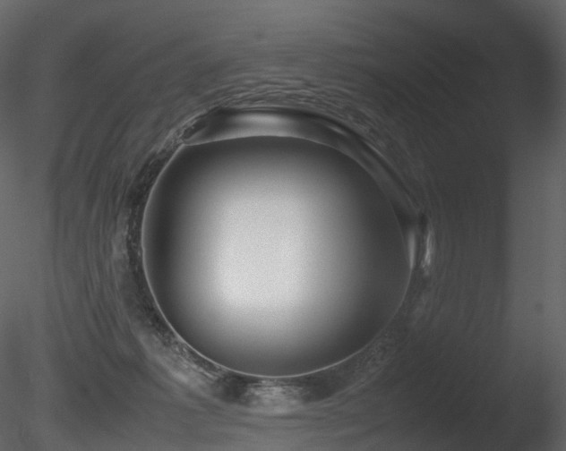 X0000085830221200703161332