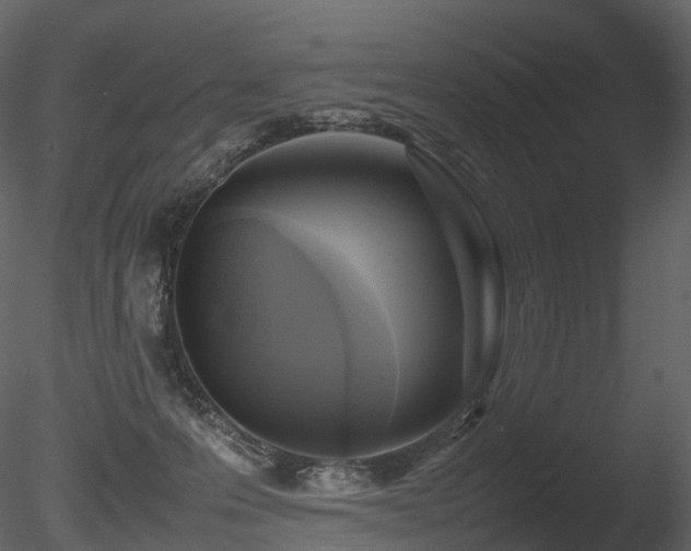 X0000085830223200703161332