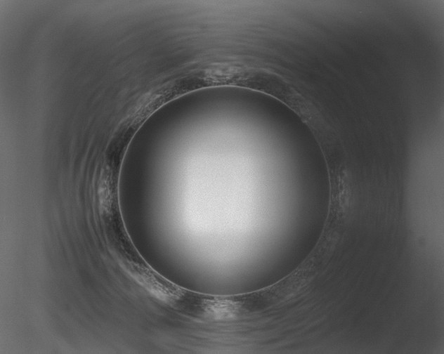 X0000085830226200703161332