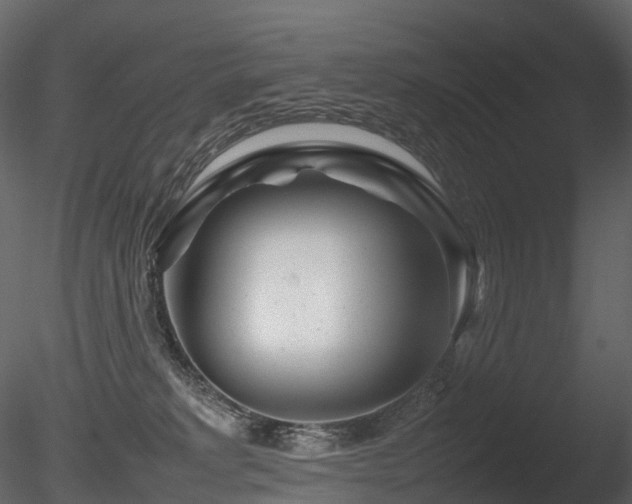 X0000085830229200703161332