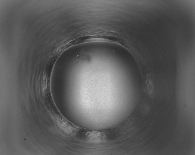 X0000085830230200703161332