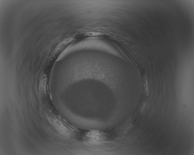 X0000085830231200703161332