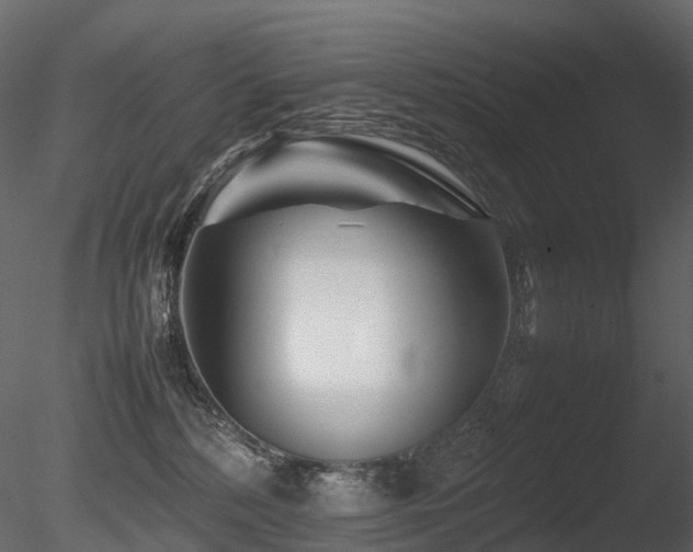 X0000085830232200703161332