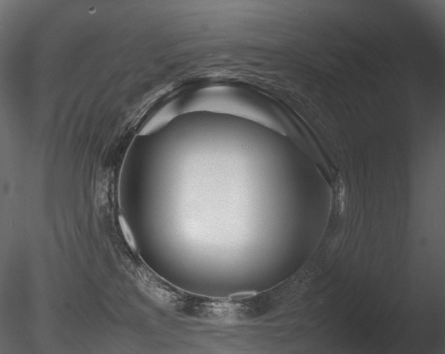 X0000085830233200703161332