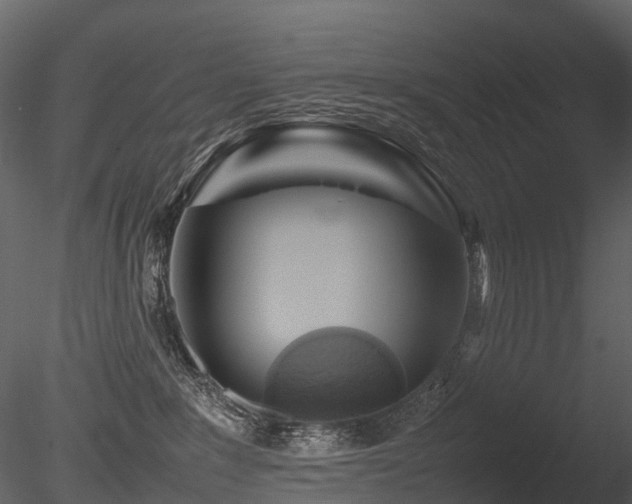 X0000085830235200703161332