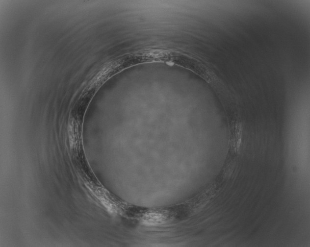 X0000085830236200703161332