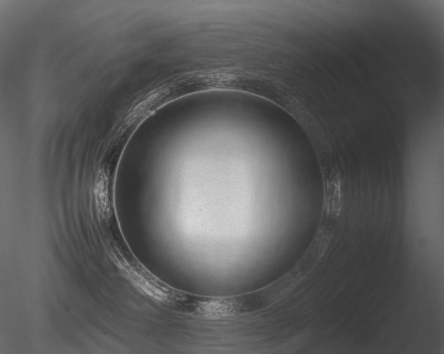 X0000085830238200703161332