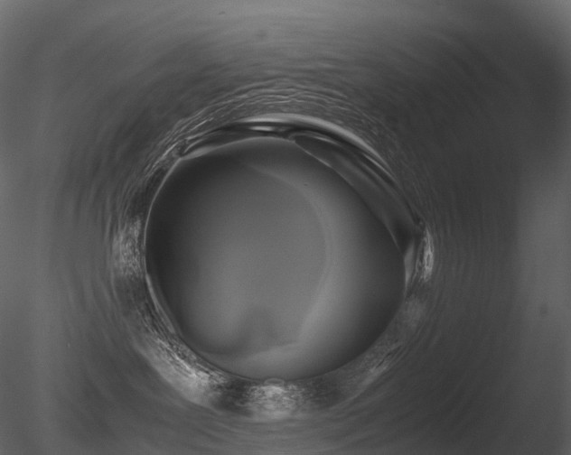 X0000085830239200703161332