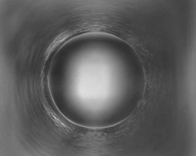 X0000085830242200703161331