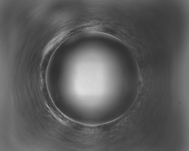 X0000085830245200703161331