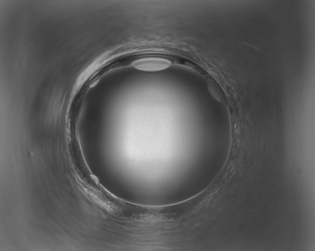 X0000085830246200703161331