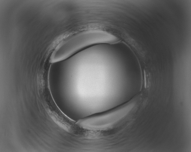 X0000085830252200703161331