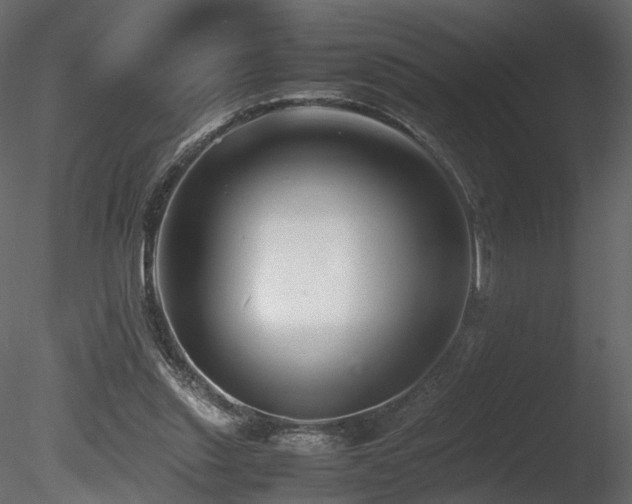 X0000085830253200703161331