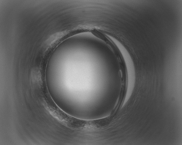 X0000085830256200703161331