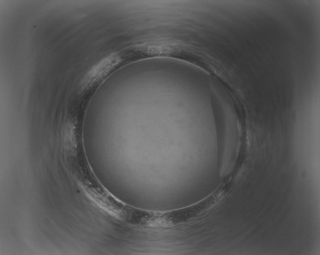 X0000085830258200703161331
