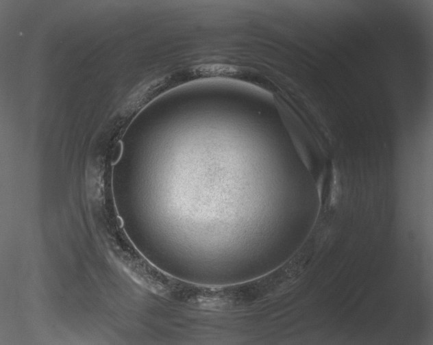 X0000085830259200703161331