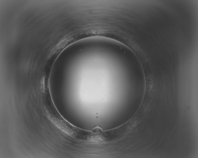 X0000085830262200703161332