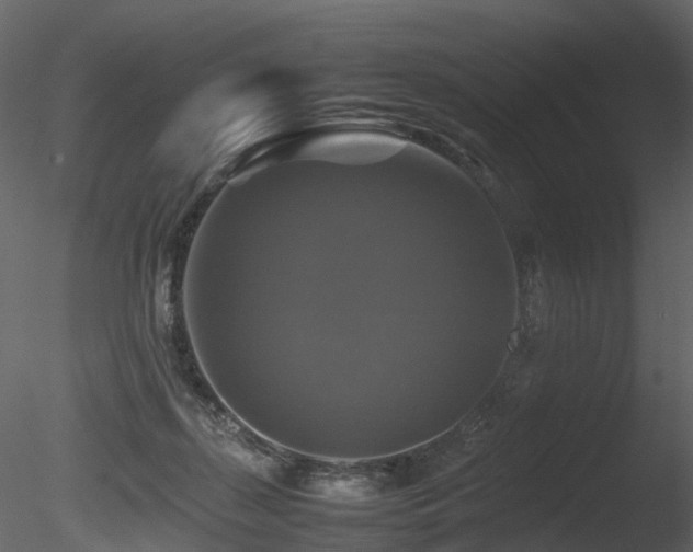 X0000085830267200703161332