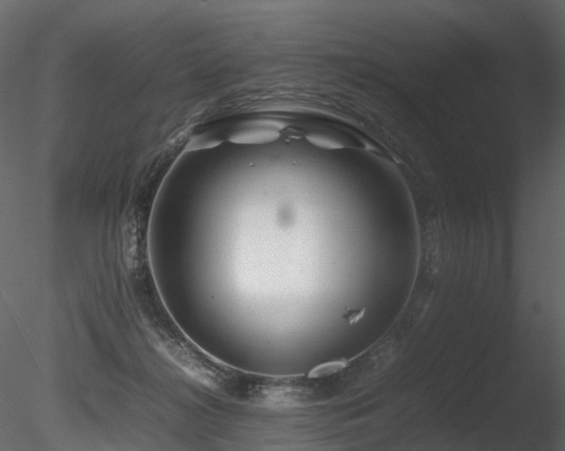 X0000085830268200703161332