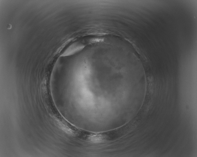 X0000085830269200703161332