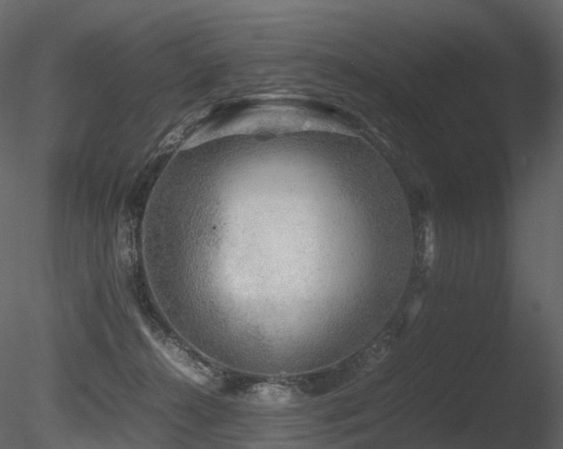 X0000085830272200703161332