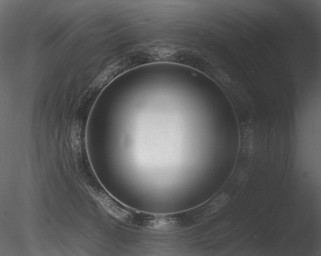 X0000085830274200703161332