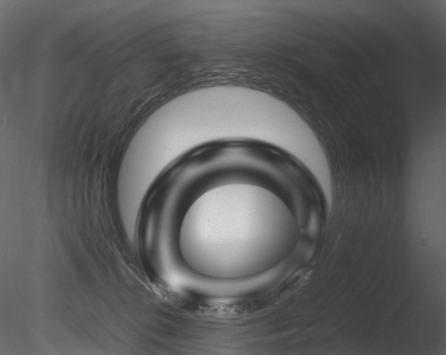 X0000085830276200703161332