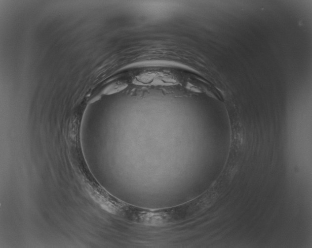 X0000085830277200703161332