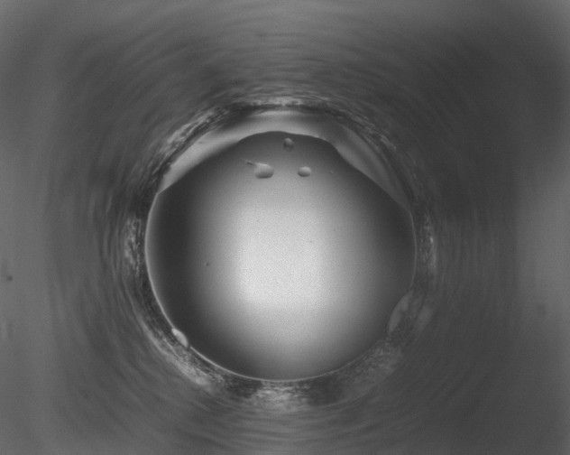 X0000085830280200703161332